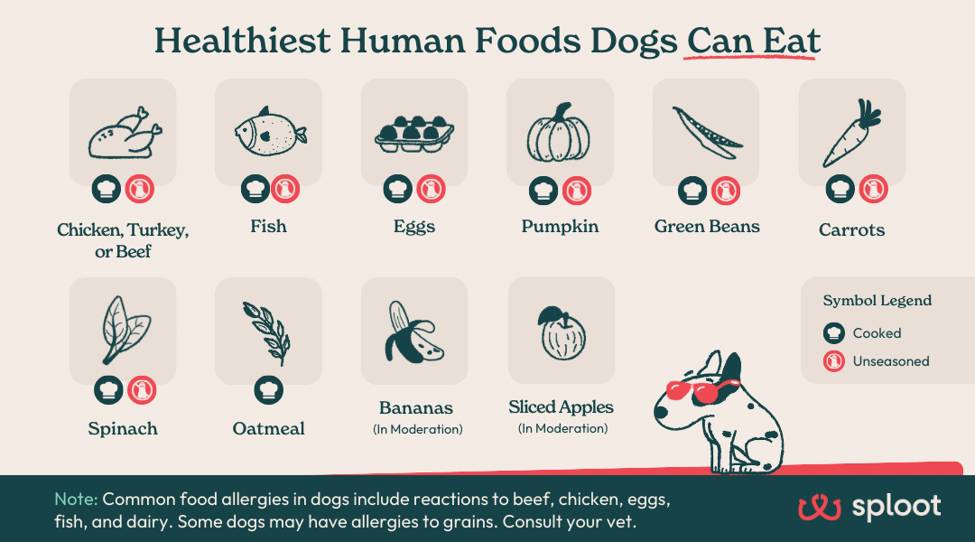 Top 10 Healthiest Human Foods That Dogs Can Eat